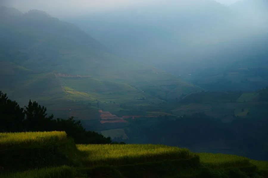 Rice terraces